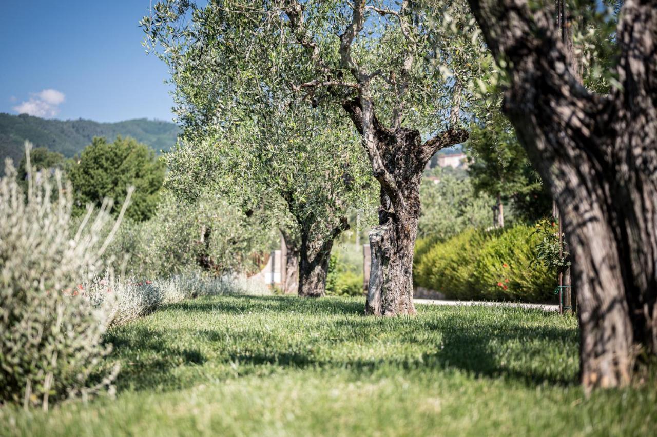 Terre Di Cocomo Vila Borgo a Buggiano Exterior foto